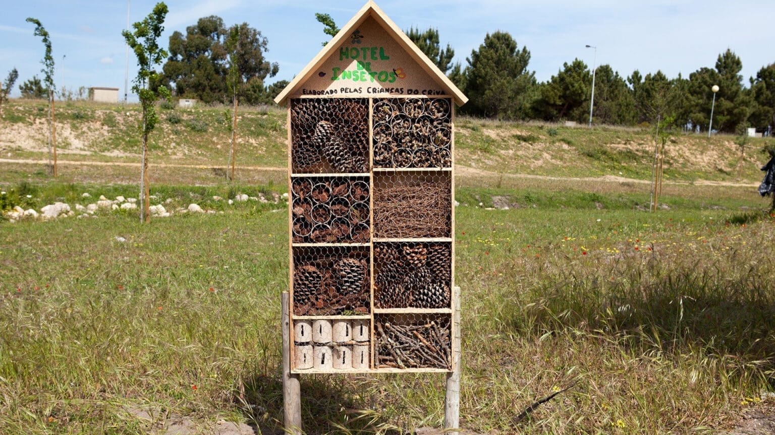 Aprenda como construir hotéis para insetos e ajude a preservar a biodiversidade