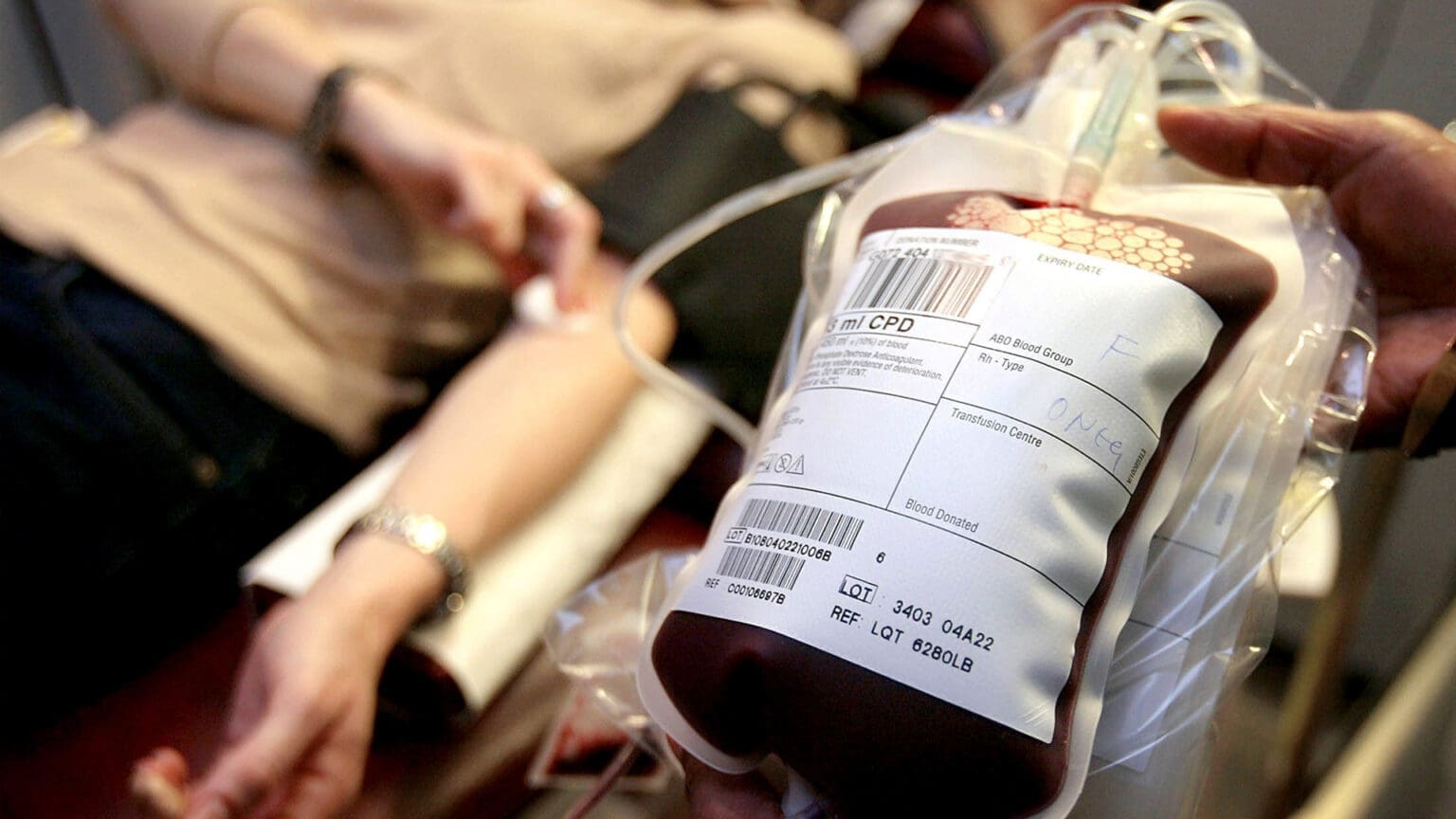 Colheita de Sangue no Pinhal Novo: Uma Iniciativa que Salva Vidas com o Apoio do Município de Palmela