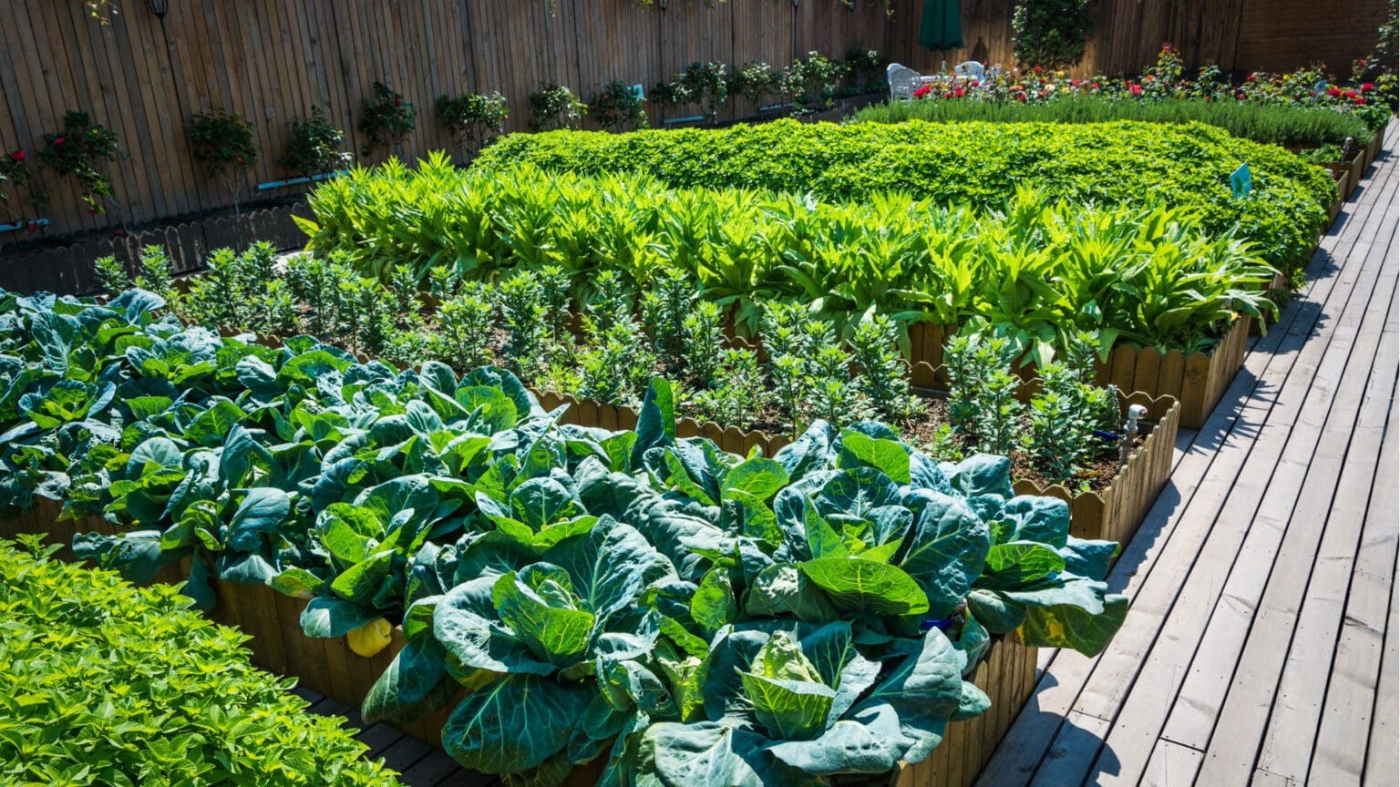 Participe na Formação “Hortas Urbanas: Aprenda a Cultivar uma Horta Sustentável